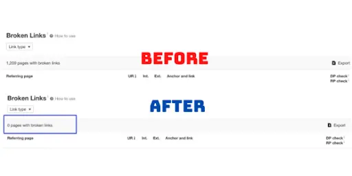 SEO Case Study Results